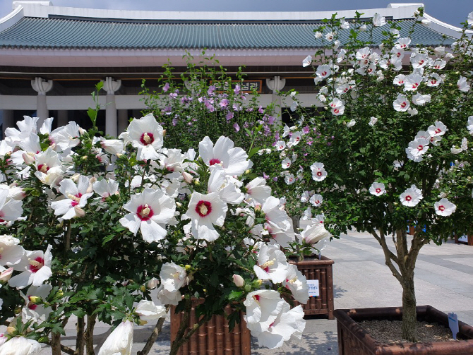 화훼산업 육성 종합계획 마련…재사용화환 표시제 도입