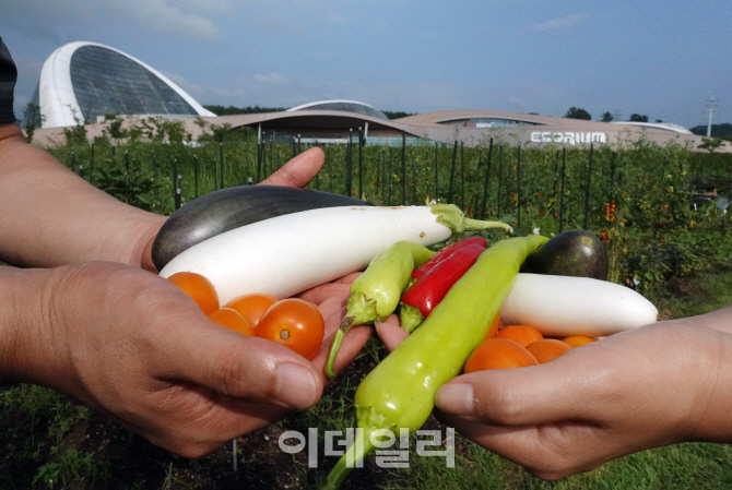 [포토] 국립생태원, 먹거리 식물 관찰 및 수확 체험