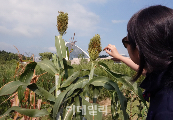 [포토] 국립생태원, 먹거리 식물 생태 관찰