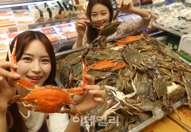 [포토] 가을 햇 꽃게