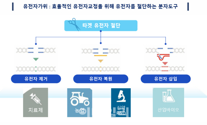 원핵세포 가위 UC…진핵세포 가위 툴젠·브로드