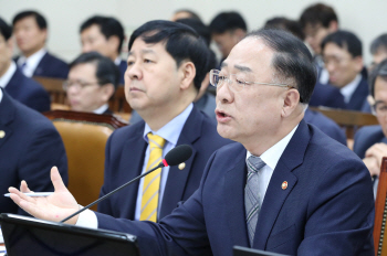 [2019국감]홍남기 "'민부론' 내부 검토자료, 민주당에 제공했다"(종합)