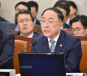 [2019국감]홍남기 “국내송금액 기준 하향조정, 신중히 검토 중”