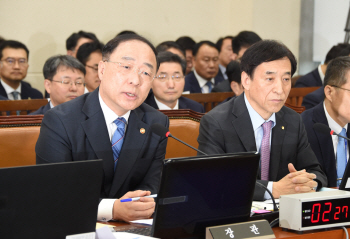 [2019국감]홍남기 “액상형담배, 정부 조치 필요…입법 추진”