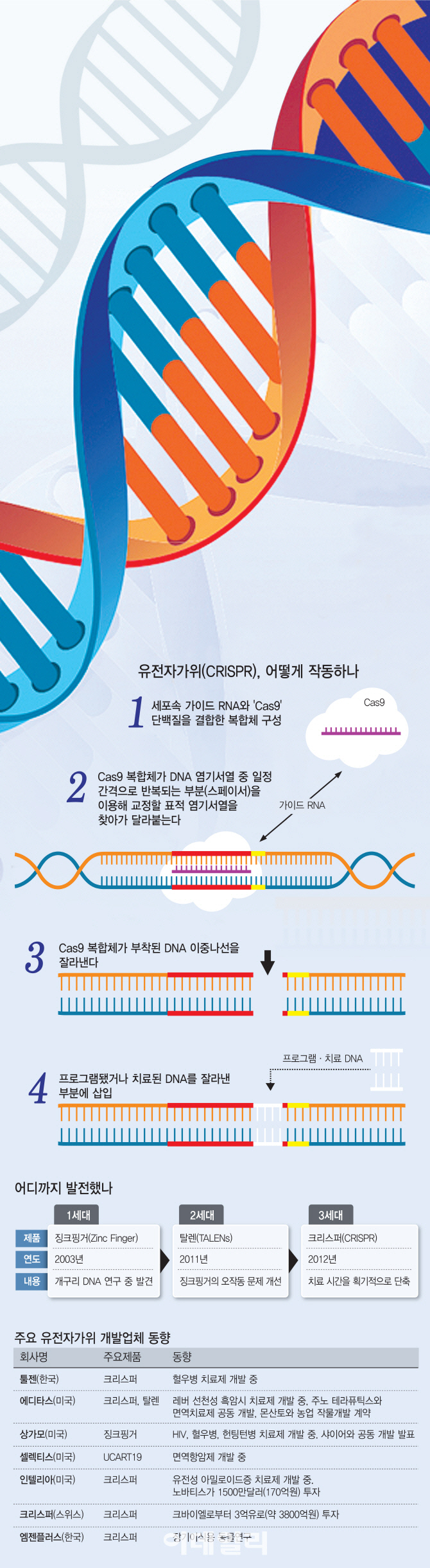 미래기술25]①유전자 가위...난치병치료부터 품종 개량까지