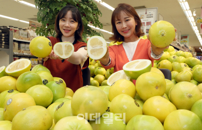 이마트, 제철 맞은 메로골드자몽 맛보세요!                                                                                                                                                          