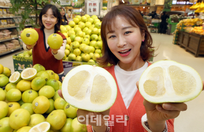 식감 뛰어난 메로골드자몽 맛보세요                                                                                                                                                                 