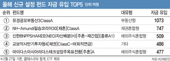 올해 새내기 펀드, 해외형·인컴형이 대세