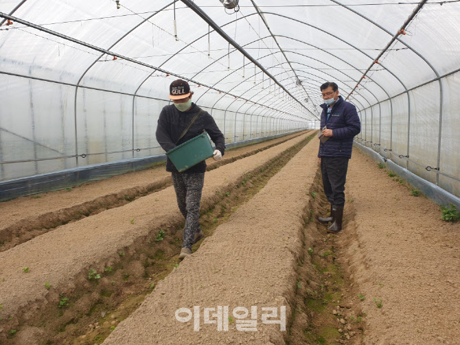 '곤충으로 해충 잡는다'…양주시, 천적곤충 활용 방제사업 실시