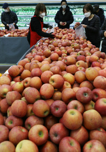 농협유통 '사과 한가득 골라담기' 행사                                                      