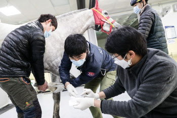 코로나19로 장기간 휴장…'무관중 경마' 시행 못하는 이유는?