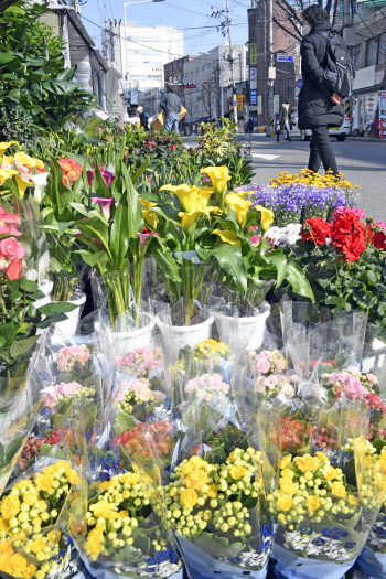 코로나19로 한산한 도심                                                                              