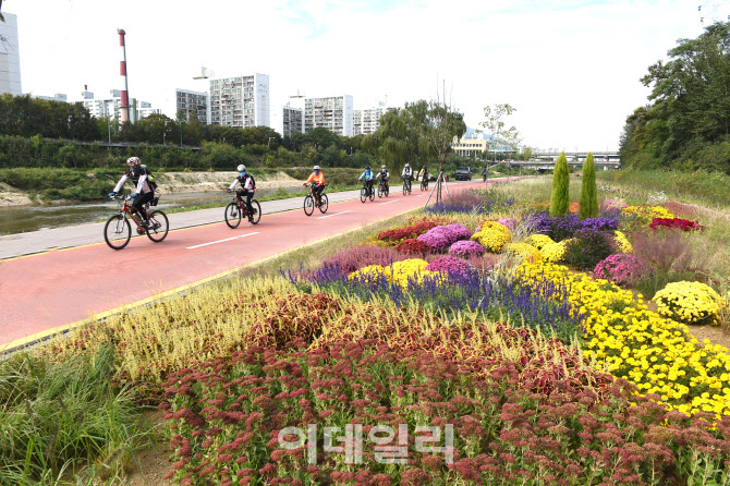 [동네방네]노원구, 주민 자전거 보험 가입…"안심하고 타세요"