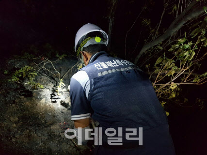 40대 산림청 공무원, 산불 비상근무 중 숨져
