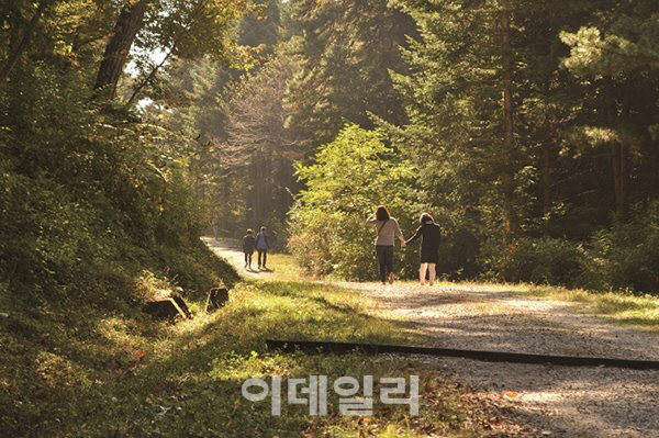 올해부터 광릉숲 생물권보전지역관리센터 경기도 직영 전환