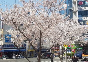 내일(18일) 낮 맑고 포근한 봄날씨…경기남부·충청도 등 미세먼지 '나쁨'