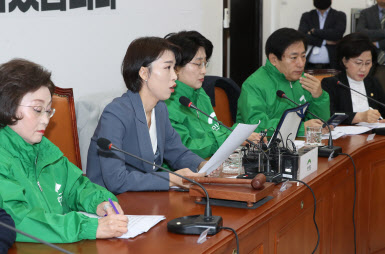 민생당, 비례연합정당 참여 두고 계파 간 갈등 격화
