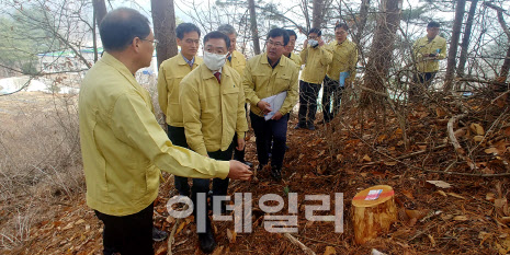 "3월까지 소나무재선충병 피해 고사목 전량 방제해야"