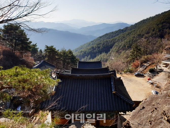 [인싸핫플] 1억년 전, 찰나의 순간을 품다