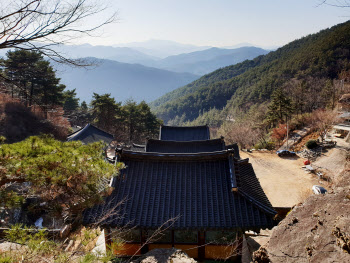  1억년 전, 찰나의 순간을 품다