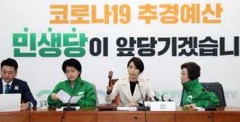 민생당, 박지원·정동영 등 37곳 단수 공천