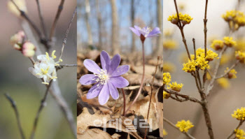 서울 낮최고 19도, 완연한 봄 날씨…저녁부터 빗방울