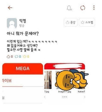 “불법 촬영물 사도 벌금형”..송희경, n번방 방지법 발의한다