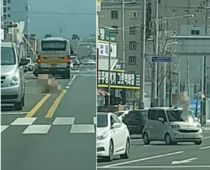 나체로 도로 난동 '울산 터미네이터'...경찰, 영상 삭제 요청
