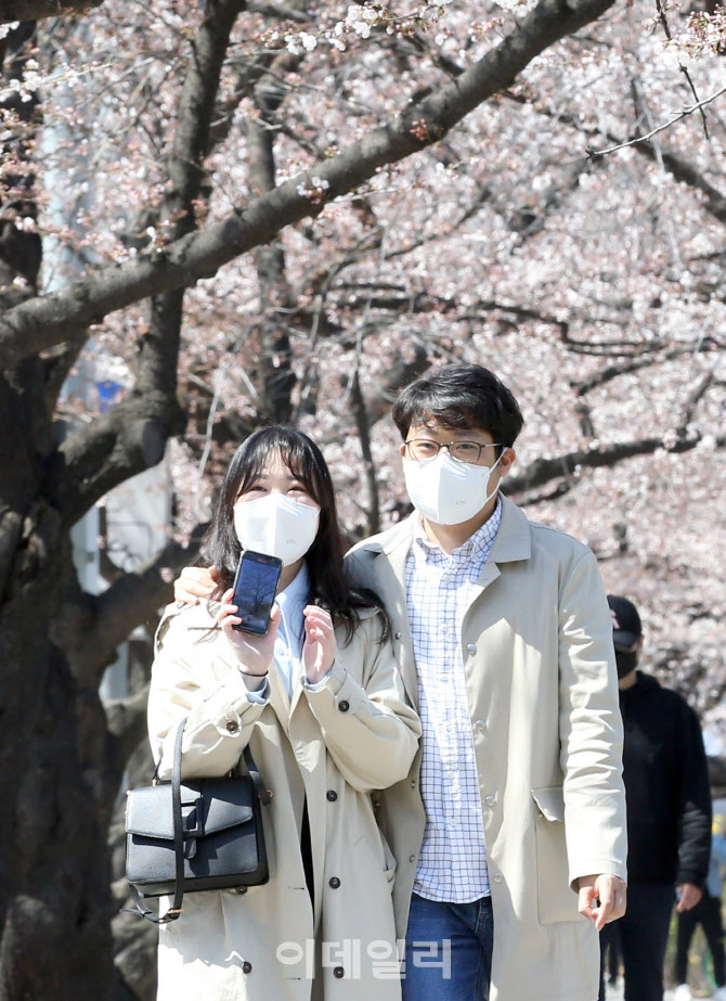 내달 1일부터 여의도 벚꽃길 통제, 아쉬운 봄                                                                                                                                                        