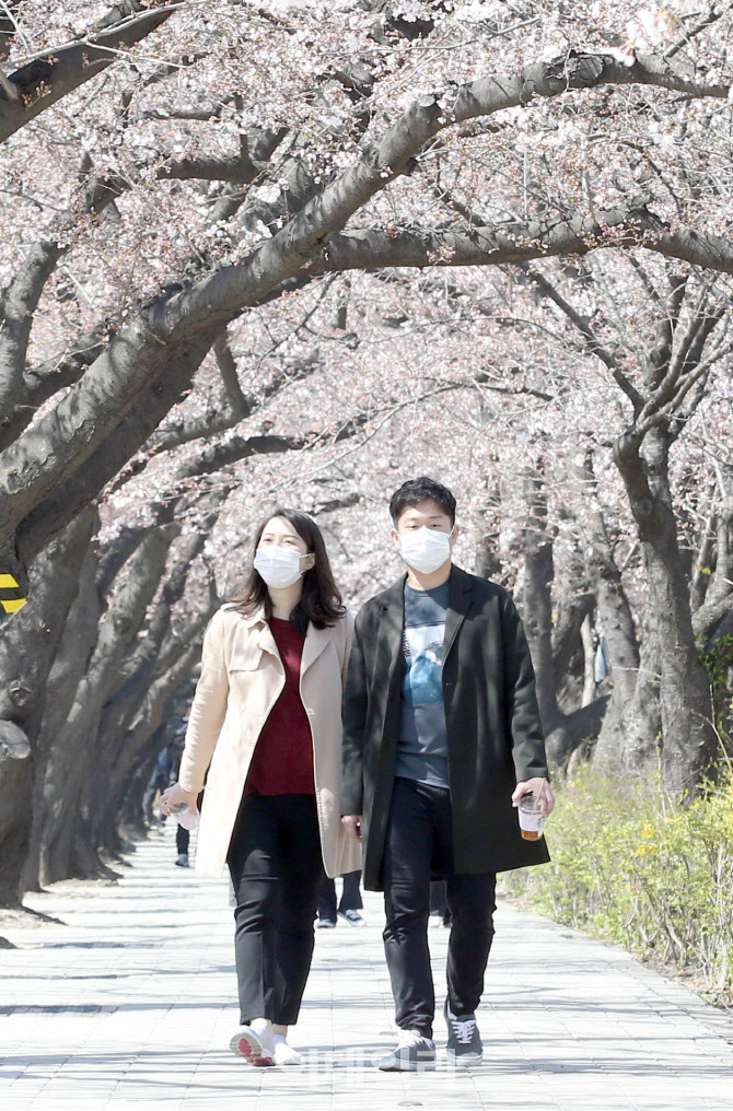 코로나19로 내달 1일부터 여의도 벚꽃길 통제, 아쉬운 봄                                                                                                                                             