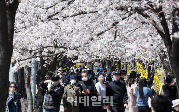 "답답해서 못 참겠다"…벚꽃 핀 여의도에 쏟아져 나온 시민들