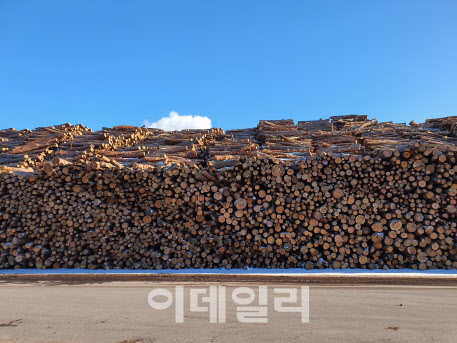 산림청, 올해 387개 경제림육성단지서 목재 500만㎥ 생산