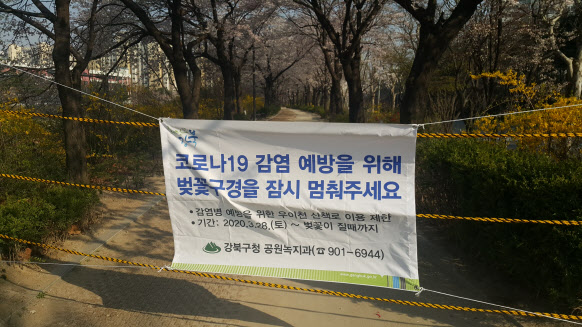 [동네방네]강북구, 우이천변 벚꽃길 임시 통제
