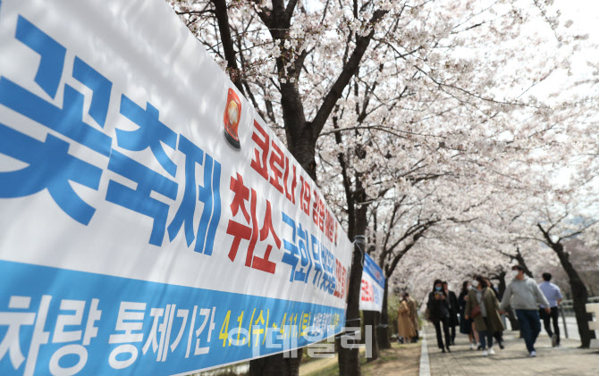 코로나19 확산 방지, '벚꽃은 내년에 만나요'                                                                                                                                              