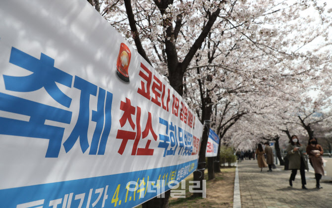코로나19 확산 방지, '벚꽃놀이는 내년 봄에'                                                                                                                                              