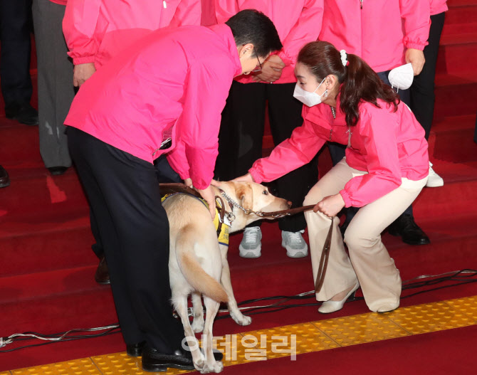 시각장애인 안내견 '조이' 쓰다듬는 황교안 대표                                                                                                                                           