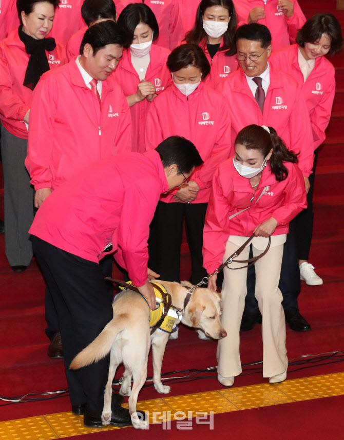 시각장애인 안내견 쓰다듬는 황교안 대표                                                                                                                                                            
