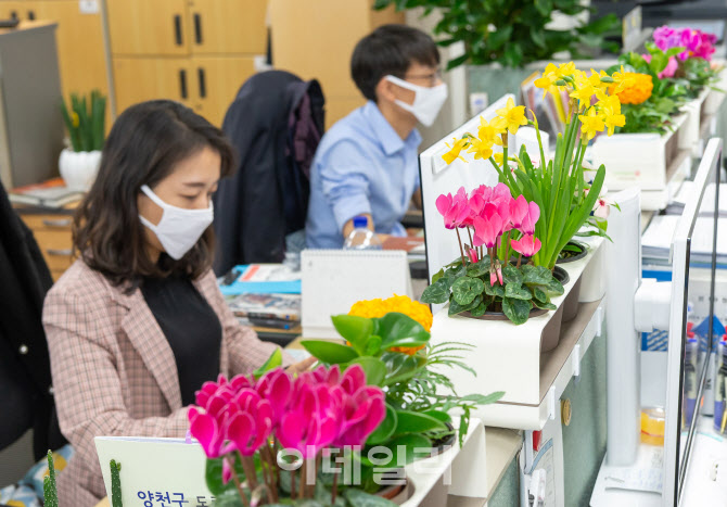 [포토] 동네 꽃집 돕기 양천구 파티션 화분