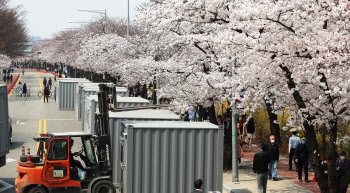 "오지마세요"…여의도·석촌호수 벚꽃길 폐쇄에도 시민들 북적