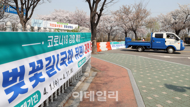[포토]여의도 벚꽃길 폐쇄