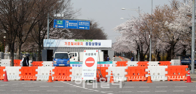 여의도의 ‘벚꽃 엔딩’... 축제 취소·출입로 전면 폐쇄                                                                                                                                             