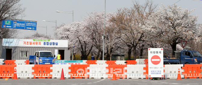 여의도의 ‘벚꽃 엔딩’... 축제 취소·출입로 전면 통제                                                                                                                                             