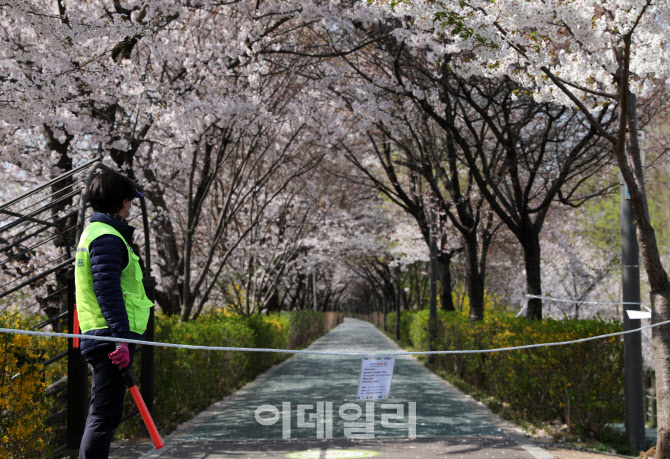  양재천 전면통제                                                                                                                                                                                  