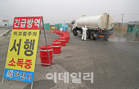 코로나19의 역설…조류인플루엔자·구제역이 사라졌다