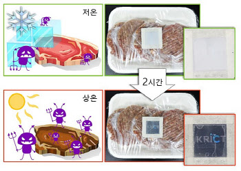 고기·생선 유통 중 변질 여부 '스티커'로 쉽게 확인한다