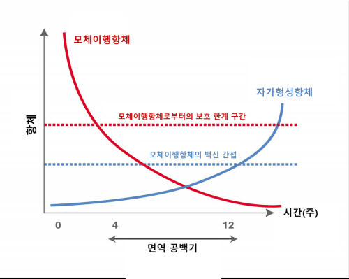 로얄캐닌 "반려동물, 생후 1년 골든타임 잡아야 평생 건강"