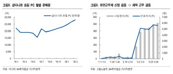 다나와, 코로나 19 PC 수요 증가·온라인 플랫폼 수혜 기대-NH