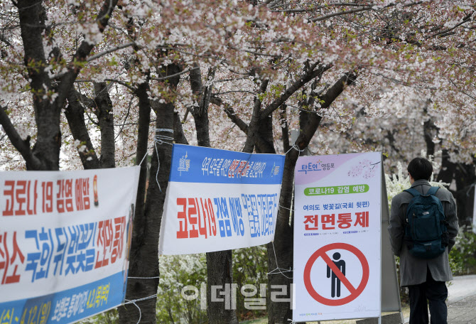 윤중로 벚꽃길 전면통제 12일 밤까지 연장                                                                                                                                                           