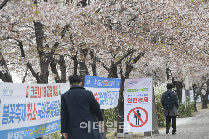 여의도 벚꽃길 전면통제 12일 밤까지 연장                                                                                                                                                           