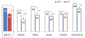 코로나19 충격에…잘나가던 온라인쇼핑 경기 전망도 ‘잿빛’